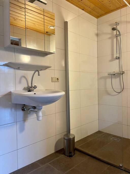 Unieke Houten Villa Met Sauna In Twente - 6P Den Ham Exteriör bild