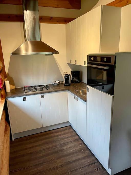 Unieke Houten Villa Met Sauna In Twente - 6P Den Ham Exteriör bild