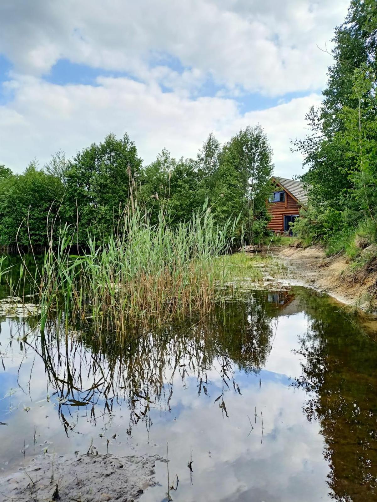 Unieke Houten Villa Met Sauna In Twente - 6P Den Ham Exteriör bild